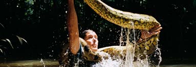 奧斯汀‧史蒂文 (Austin Stevens)